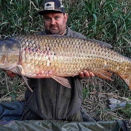 R U Ready Fishing, River Ebro ميكينيزا المظهر الخارجي الصورة