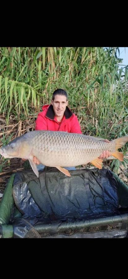 R U Ready Fishing, River Ebro ميكينيزا المظهر الخارجي الصورة