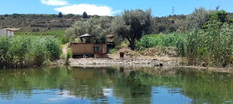 R U Ready Fishing, River Ebro ميكينيزا المظهر الخارجي الصورة