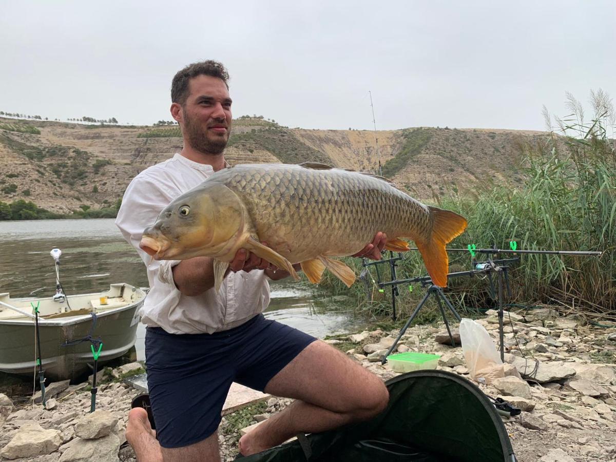 R U Ready Fishing, River Ebro ميكينيزا المظهر الخارجي الصورة